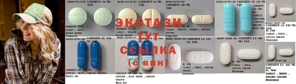 гашик Дмитровск