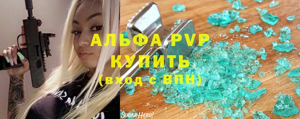 гашик Дмитровск