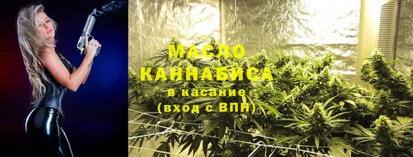 гашик Дмитровск