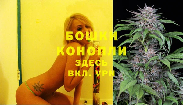 гашик Дмитровск