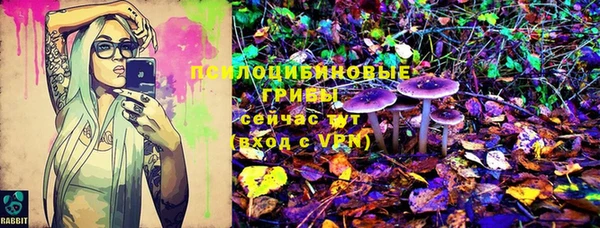 бутират Дмитриев