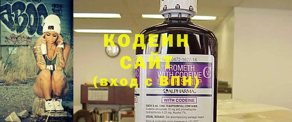 гашик Дмитровск