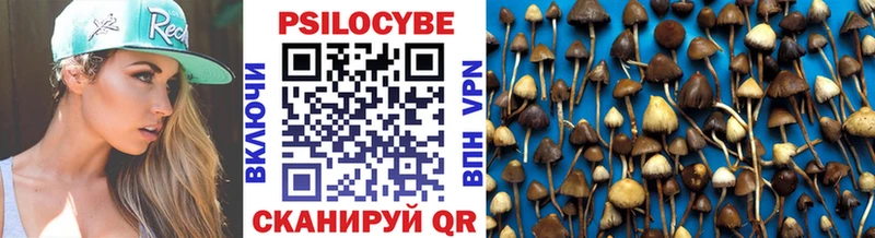 как найти закладки  Щёлково  Псилоцибиновые грибы прущие грибы 